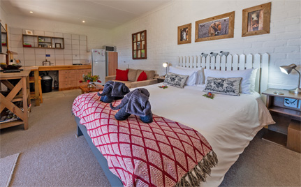 Knysna self-catering accommodation - Knysna Forest Cottage at a budget.