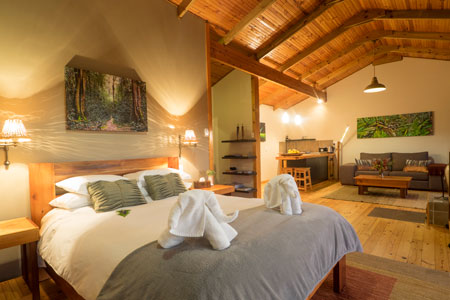 Knysna self-catering cabins, self-catering cabins in the Knysna Forest. Affordable Honeymoon Cottages Knysna Forest!